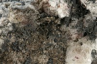 自然銀 藏品圖，第2張