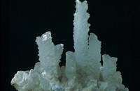 透石膏/石膏藏品圖，第1張