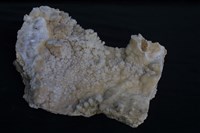 石灰岩/方解石藏品圖，第4張