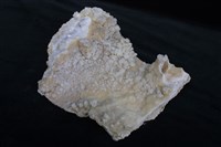石灰岩/方解石藏品圖，第5張