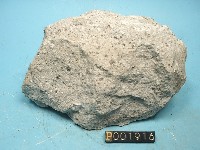 石英安山岩藏品圖，第2張