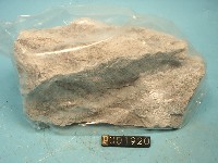 石英安山岩藏品圖，第2張
