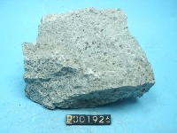 石英安山岩藏品圖，第2張