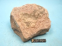 火山碎屑岩藏品圖，第2張
