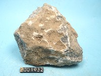 石英安山岩藏品圖，第4張