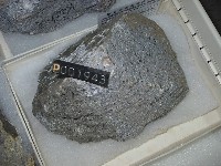 石英安山岩藏品圖，第3張