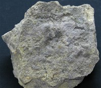 石英安山岩藏品圖，第1張