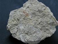 石英安山岩藏品圖，第3張
