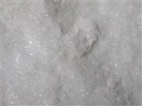 大理岩藏品圖，第2張