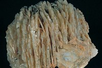 鈉長石藏品圖，第1張