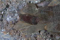 石英藏品圖，第4張