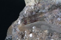 石英藏品圖，第5張
