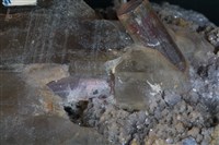 石英藏品圖，第8張