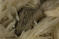 正長石/鈉長石藏品圖，第4張