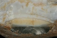 蛋白石藏品圖，第3張