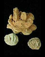 重晶石藏品圖，第2張