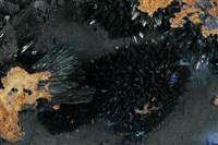 藍鐵礦藏品圖，第2張