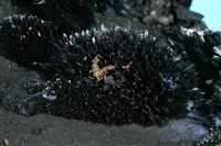 藍鐵礦藏品圖，第4張