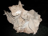 透石膏/石膏藏品圖，第2張