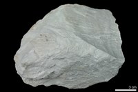 變質砂岩藏品圖，第1張