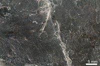 燧石藏品圖，第5張