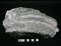 片岩藏品圖，第2張