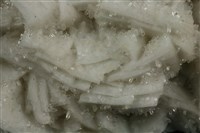 正長石藏品圖，第2張