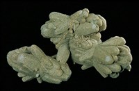 方解石藏品圖，第1張