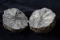 白鐵礦藏品圖，第2張