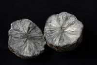 白鐵礦藏品圖，第4張