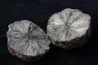 白鐵礦藏品圖，第5張
