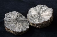 白鐵礦藏品圖，第6張