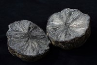 白鐵礦藏品圖，第7張