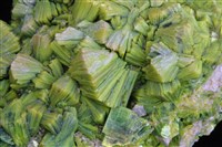 鈣鈾雲母藏品圖，第3張