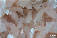白雲石藏品圖，第2張