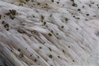 重晶石/黃銅礦藏品圖，第4張