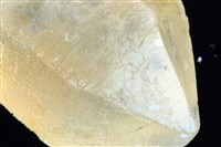 碳酸芒硝藏品圖，第2張
