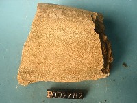 鐘乳石藏品圖，第5張
