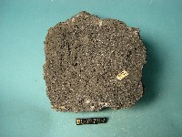 玄武岩藏品圖，第4張