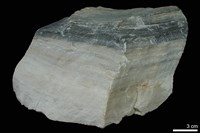 大理岩藏品圖，第2張