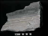 大理岩藏品圖，第2張