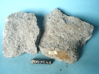 石英安山岩藏品圖，第3張