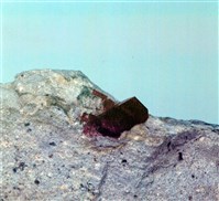 紅寶石藏品圖，第6張