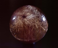 石英/金紅石藏品圖，第2張