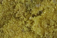 硫磺/透石膏藏品圖，第2張