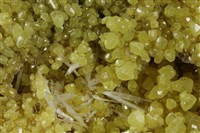 硫磺/透石膏藏品圖，第3張