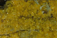 硫磺/透石膏藏品圖，第6張