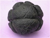 似曜岩類藏品圖，第5張