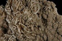石膏藏品圖，第2張