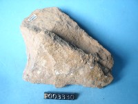 凝灰岩藏品圖，第4張